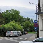 zdjęcie nr 8