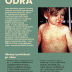 zdjęcie nr 34