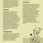 zdjęcie nr 40