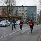 zdjęcie nr 46