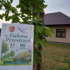 zdjęcie nr 11