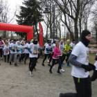 zdjęcie nr 35