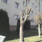 Fotka nr 5 z 10