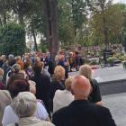 zdjęcie nr 11