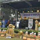 zdjęcie nr 18
