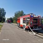 Fotka nr 1 z 6