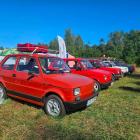 Fotka nr 5 z 18