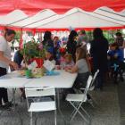 Fotka nr 0 z 21