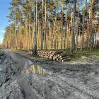 zdjęcie nr 10