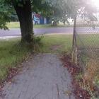zdjęcie nr 7