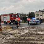 Fotka nr 2 z 4