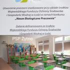 zdjęcie nr 10