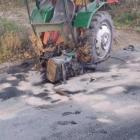 Fotka nr 5 z 7
