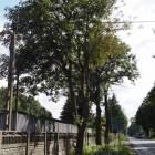 zdjęcie nr 14
