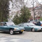 zdjęcie nr 7