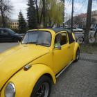 zdjęcie nr 29