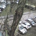Fotka nr 1 z 2