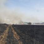 zdjęcie nr 15