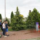 zdjęcie nr 12