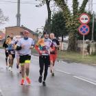 zdjęcie nr 80