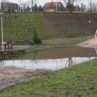 zdjęcie nr 8