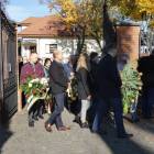 zdjęcie nr 87