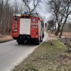 Fotka nr 5 z 13