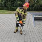 Fotka nr 5 z 8
