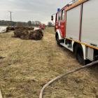 Fotka nr 3 z 11