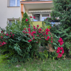 zdjęcie nr 18