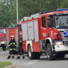 zdjęcie nr 42