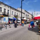 zdjęcie nr 8