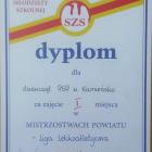 zdjęcie nr 9