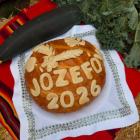 zdjęcie nr 16
