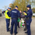 Fotka nr 1 z 3