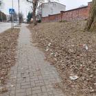 zdjęcie nr 8