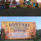 zdjęcie nr 12