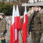 Fotka nr 3 z 49