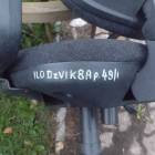 Fotka nr 2 z 6