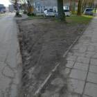 zdjęcie nr 9