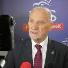 zdjęcie nr 12