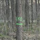 zdjęcie nr 5