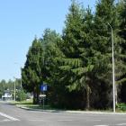 zdjęcie nr 7