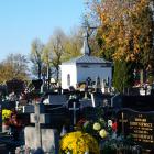zdjęcie nr 31