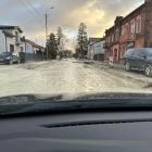 zdjęcie nr 8