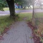 zdjęcie nr 8