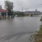 zdjęcie nr 8