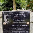 Fotka nr 1 z 29