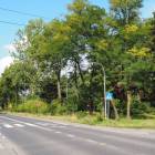 zdjęcie nr 19