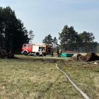 Fotka nr 2 z 11